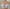 Bestform Full Coverage Bra - 14400N