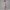 Nortex 2 Piece Bridal Set - 5355N