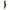 Control Body Sports Leggings - 610127