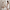 Mariposa Short Nightgown - 10015