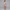 Nortex Bridal Robe - 5300N