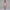 Nortex Bridal Robe - 5300N