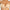 Chantelle Full Coverage Bra - 1111N