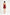 RYA Collection Satin Crop Top - 207N