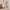 Nortex 2 Piece Bridal Set - 5355N