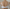 Bestform Full Coverage Bra - 14400N